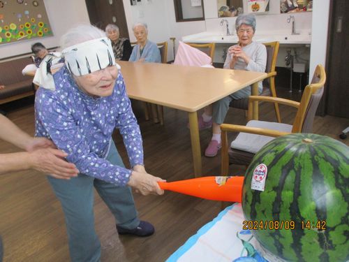 夏野菜の収穫とスイカ割